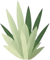 a green plant with leaves on it 1.jpg